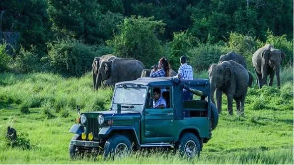 Kaziranga National Par